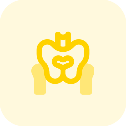 骨盤 icon