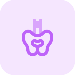 Pelvis icon