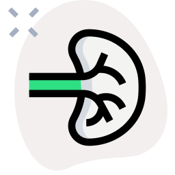 Spleen icon