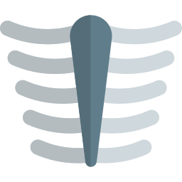 Rib cage icon