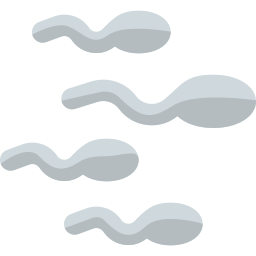 Sperm icon