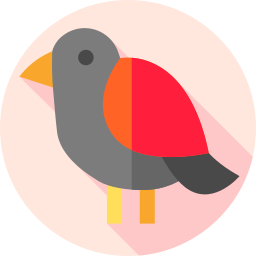 Bird icon