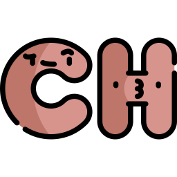 ch icon