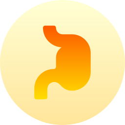 Stomach icon