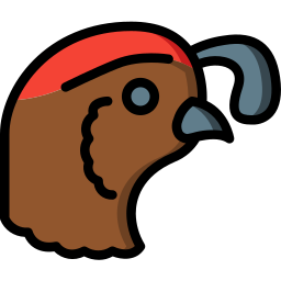 Quail icon