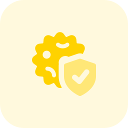 Safe icon