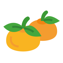 laranja Ícone