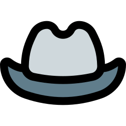 Cowboy hat icon