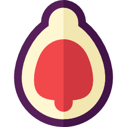 Fig icon