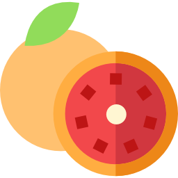 Grapefruit icon