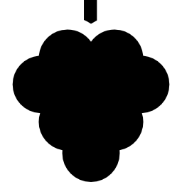 frambuesa icono