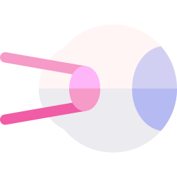 retina icon