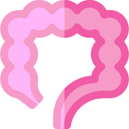 Intestine icon