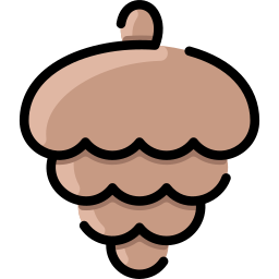 Pine cone icon