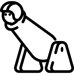 인간 포탄 icon