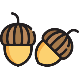 Acorn icon