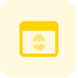 Web browser icon