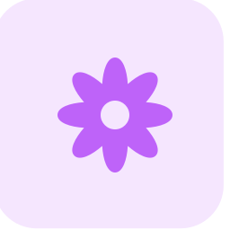 decoración icono