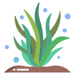 Seaweed icon