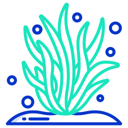 Seaweed icon