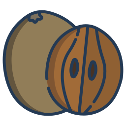 sapodilla icon