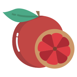 grapefruit icon