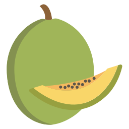 cantaloup-melone icon