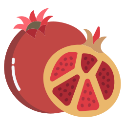 Pomegranate icon