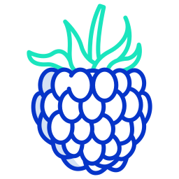 Raspberry icon