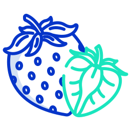 Strawberry icon