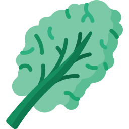 Kale icon