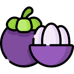 Mangosteen icon