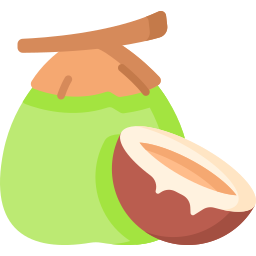 kokosnuss icon