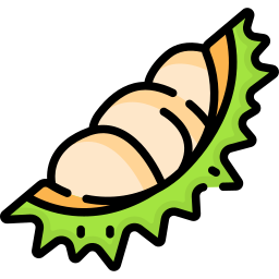 durian icona