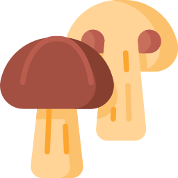 funghi icona