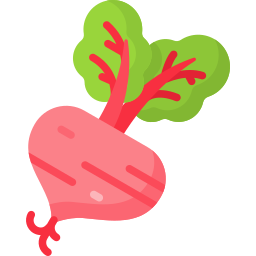 Beetroot icon