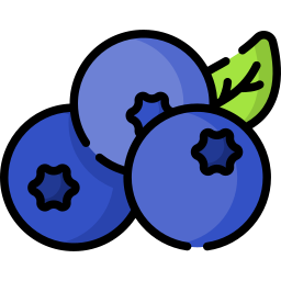 blaubeere icon