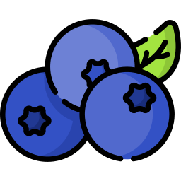 Blueberry icon