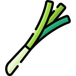 Spring onion icon