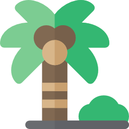 Coconut tree icon