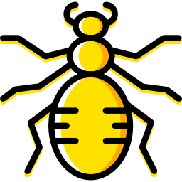 spinne icon