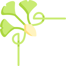 Gingko icon