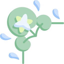 lirio de agua icono