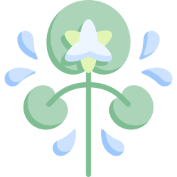Водяная лилия иконка