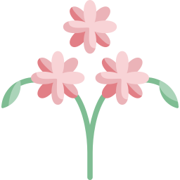 gänseblümchen icon