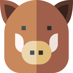 Wild pig icon