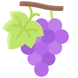 Grape icon