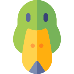 Mallard duck icon