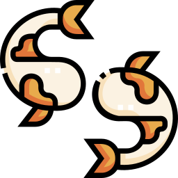 koi icon