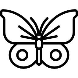 schmetterling icon